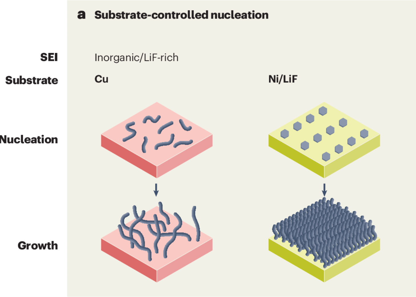 Our views on Li deposition is published in Nature Chemistry