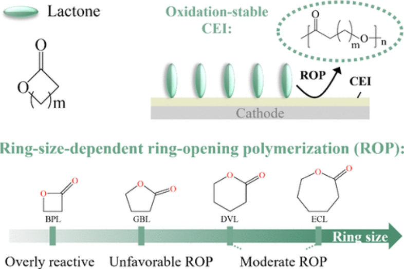 Yana's work on sodium-ion battery electrolytes is published in ACS Energy Letters