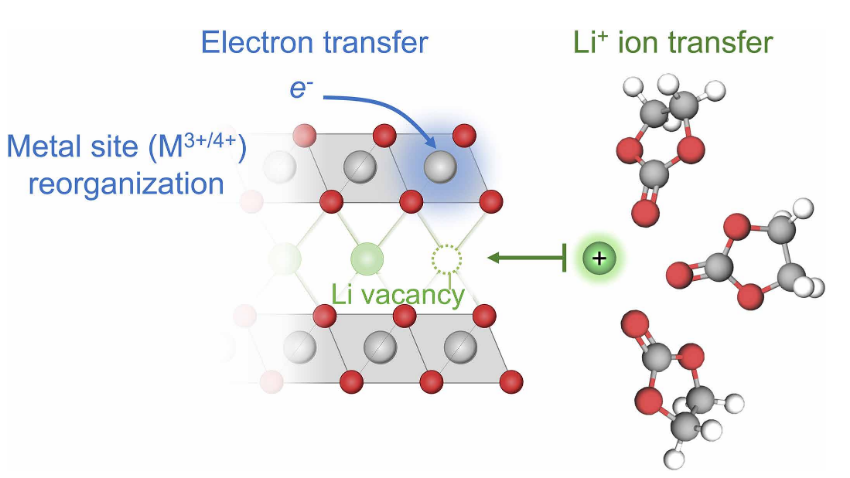 Our work on the insertion reaction kinetics is published in Science